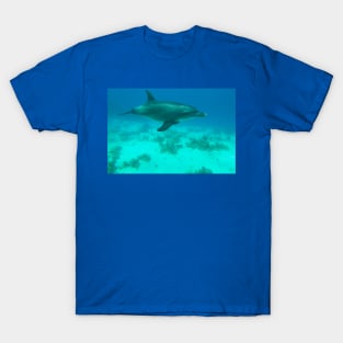 Dolphin Underwater T-Shirt